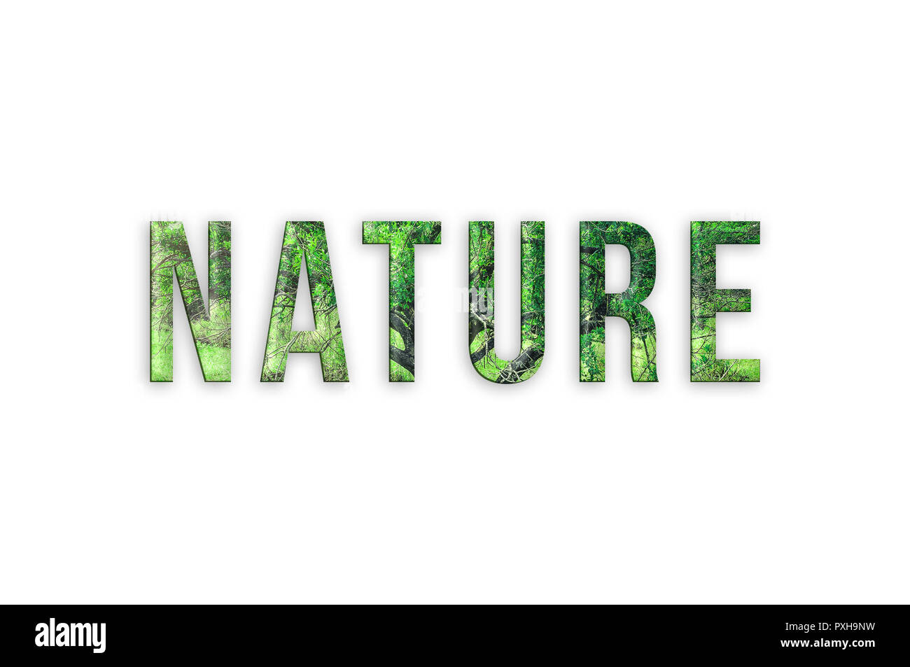 Nature. Written NATURE with forest foliages texture. Isolated on white ...