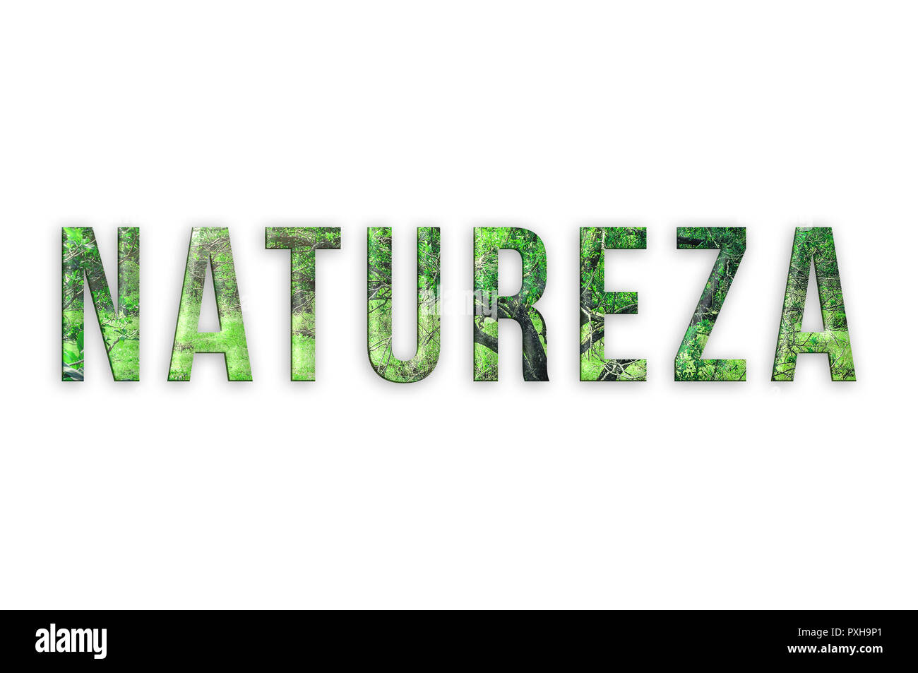 Natureza. Written nature (in portuguese) with forest foliages texture ...