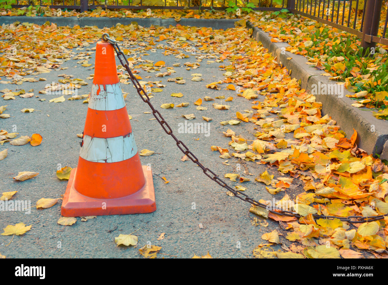 Traffic cone with rust chain and dry fallen autumn leaves on the ...