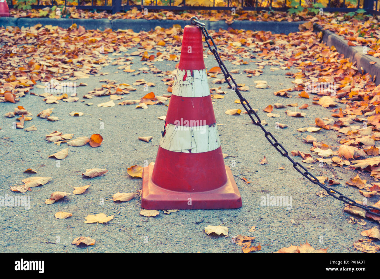 Traffic cone with rust chain and dry fallen autumn leaves on the ...