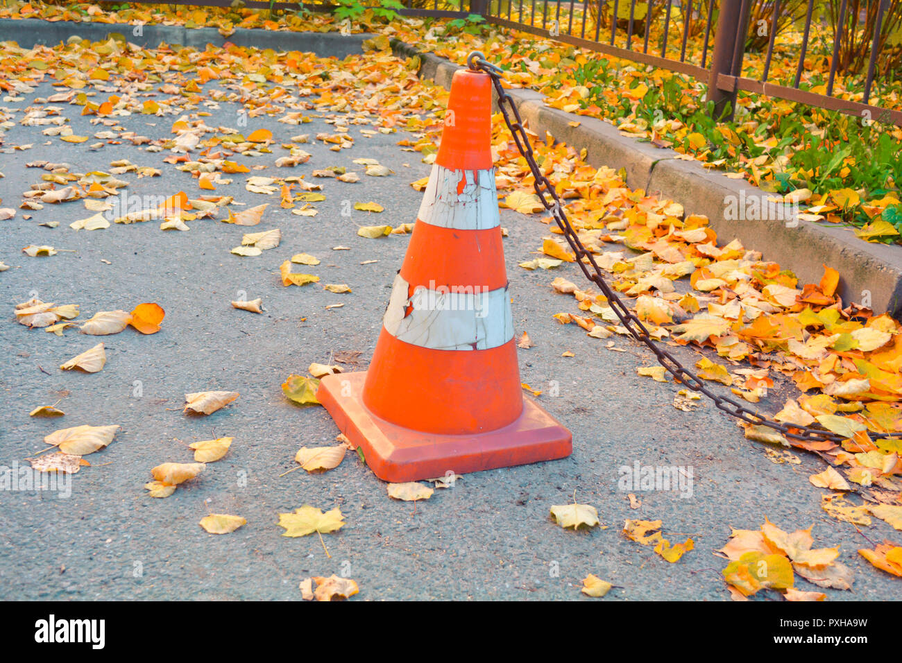 Traffic cone with rust chain and dry fallen autumn leaves on the ...