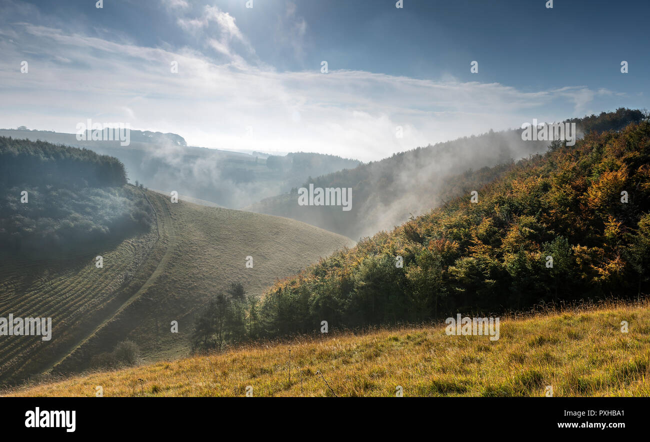 Mist over Deepdale on the Yorkshire Wolds Stock Photo