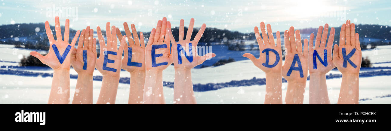 Hands Building Word Vielen Dank Means Thank You, Winter Scenery Stock Photo