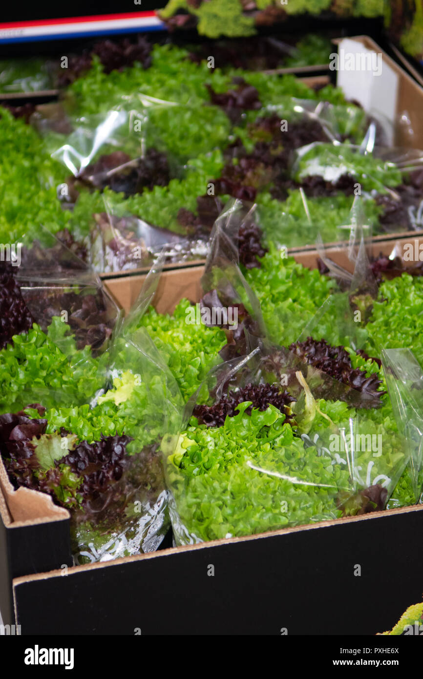 Cold storage of fresh packed vegetables in boxes in big warehouse close