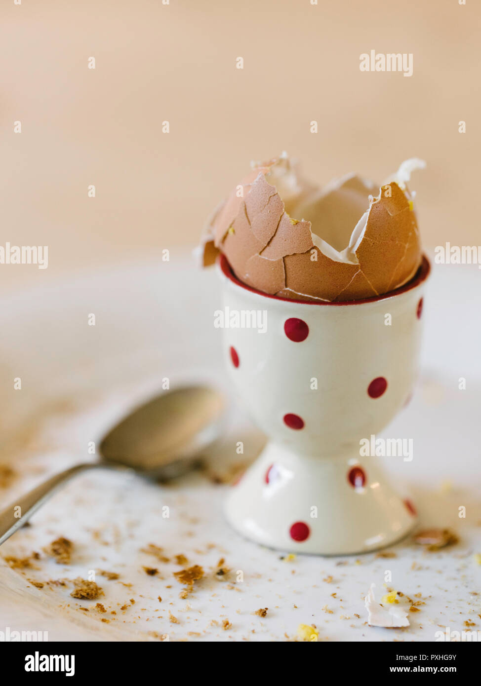 Remains of  boiled egg in an eggcup on a plate Stock Photo