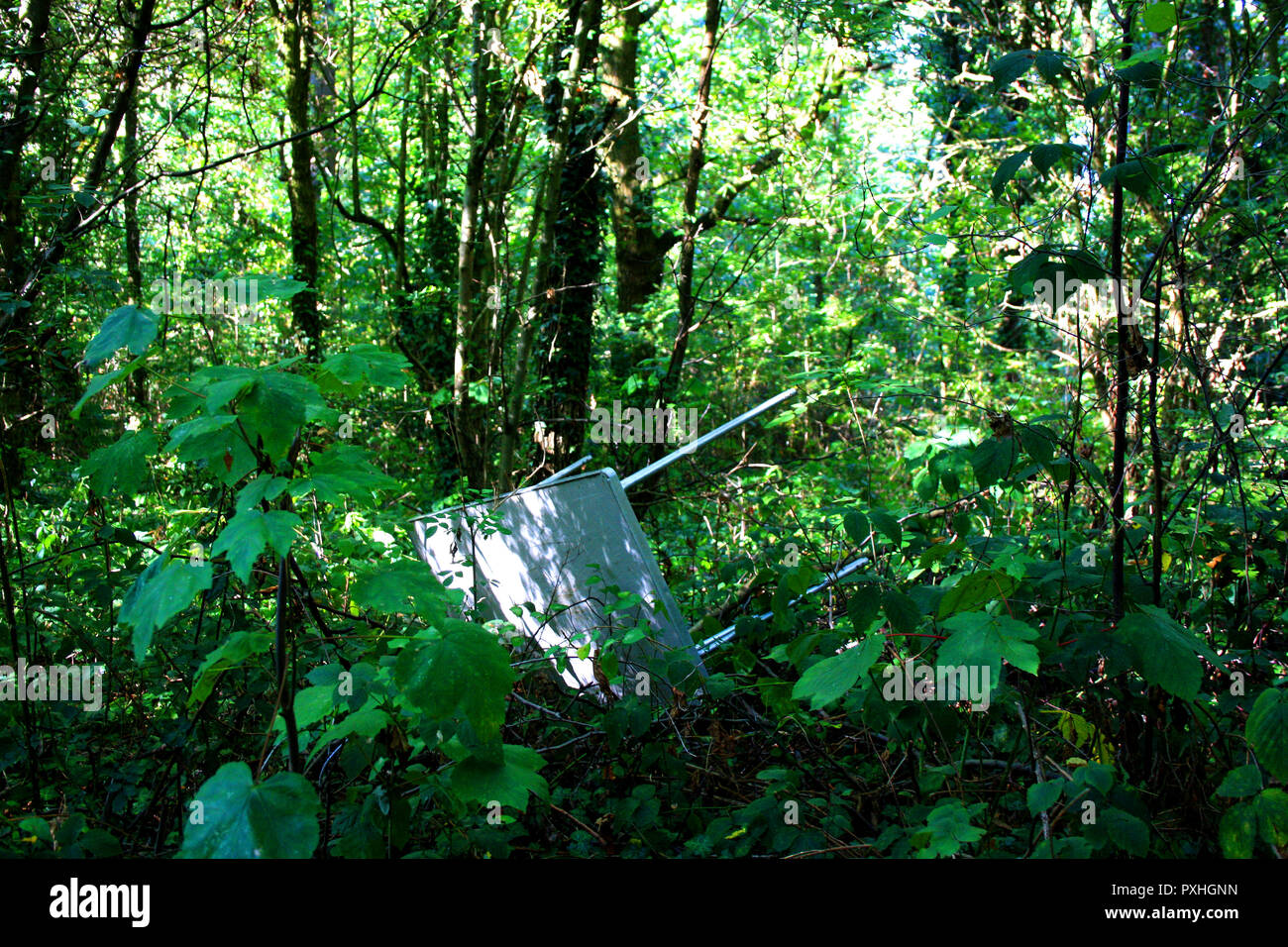 An abandoned table, Claybury Woods, Essex Stock Photo