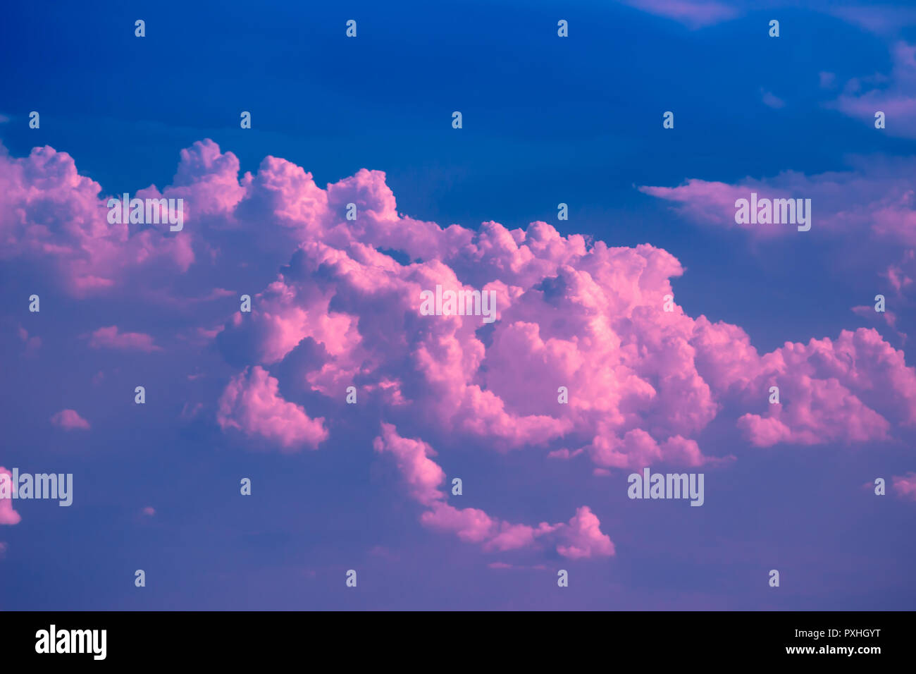 Fluffy Pink Clouds At Sunset Cloudscape Background Stock Photo Alamy