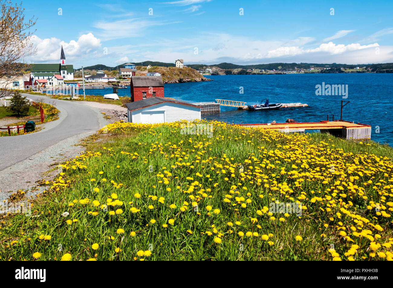 The historic Newfoundland town of Trinity on Trinity Bay near the north