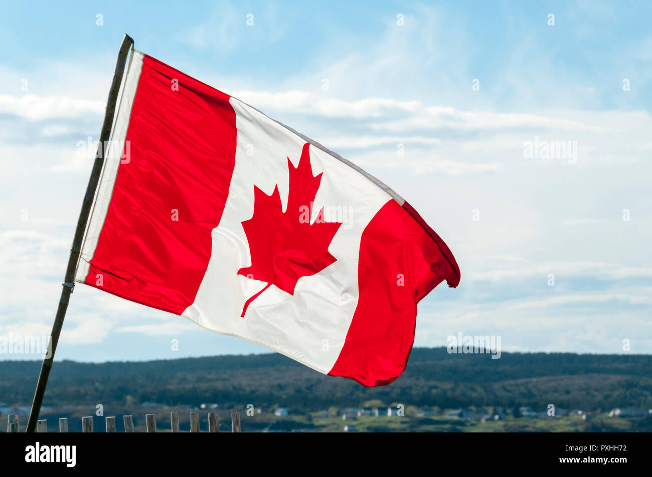 The flag of Canada, Canadian flag, maple leaf or l'Unifolié. Stock Photo