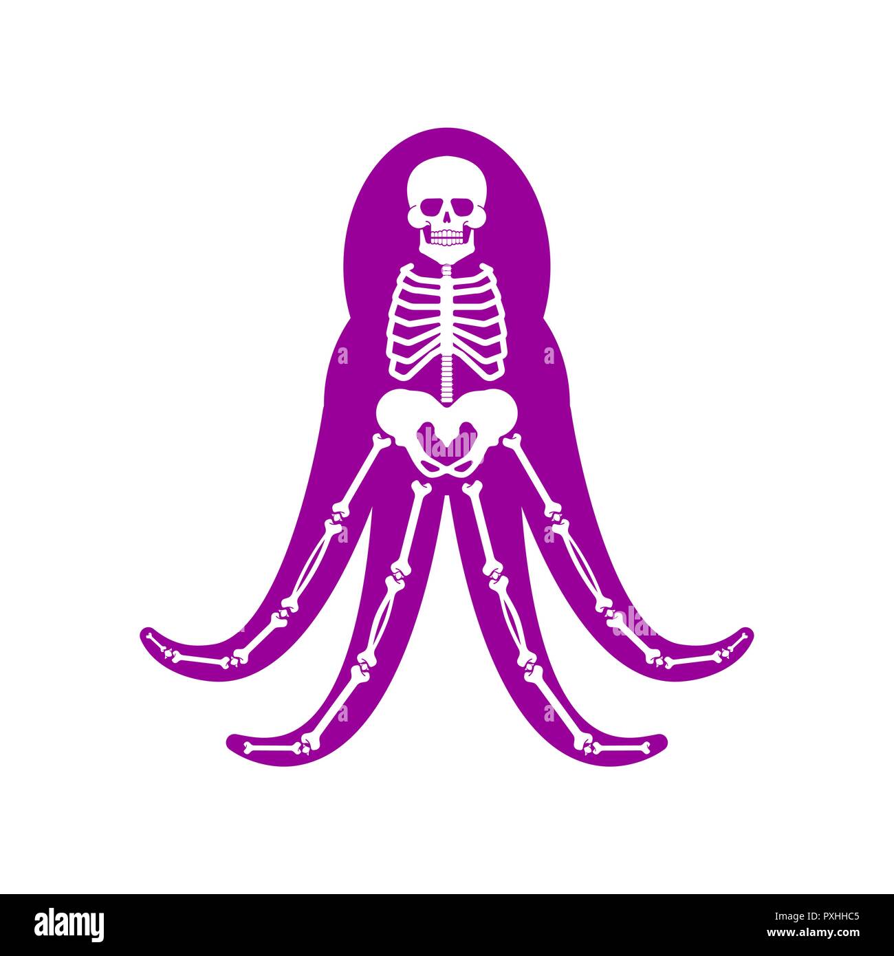 Octopus Anatomy Skeleton Poulpe Sea Monster Vector Aquatic Animal Stock Vector Image Art Alamy