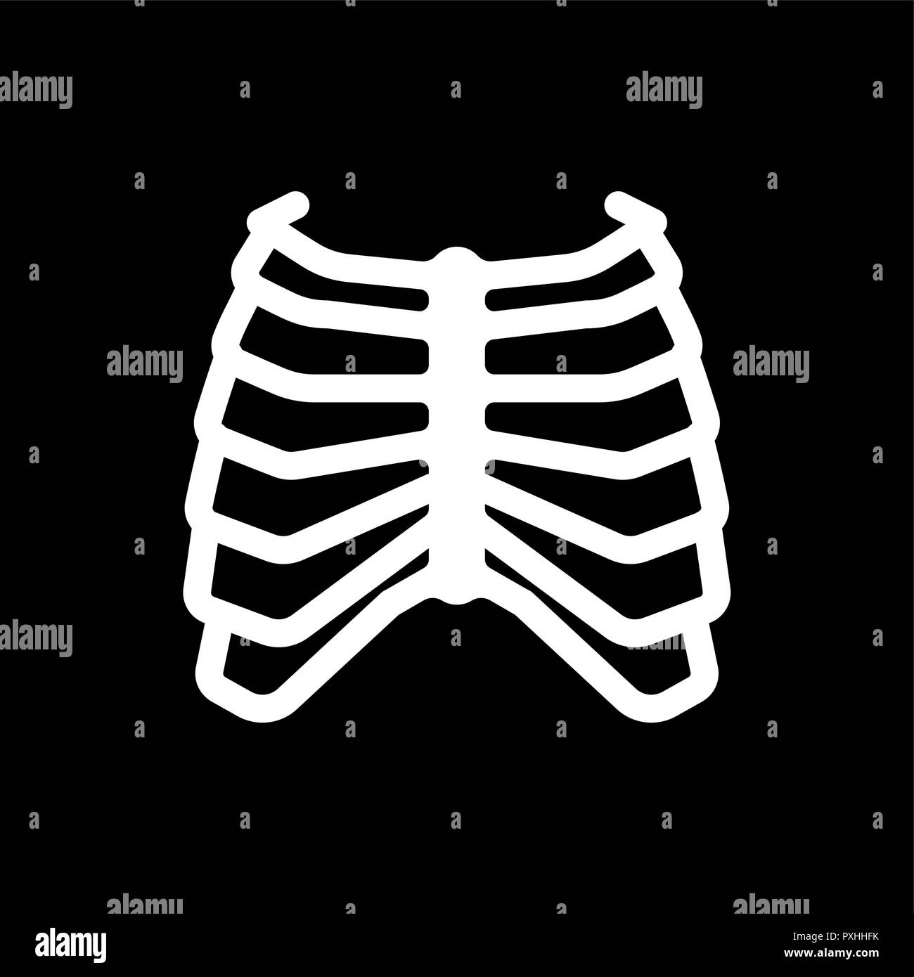 Rib cage. Skeleton anatomy human. Skeletal system cross section. vector illustration Stock Vector