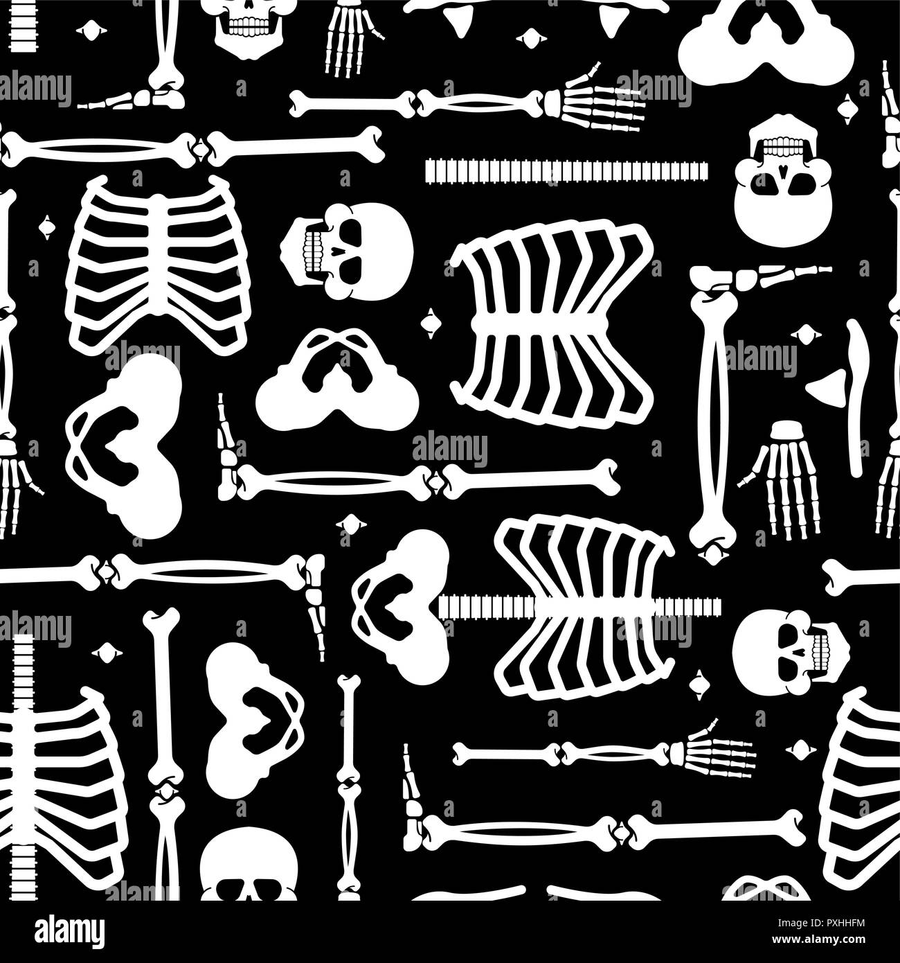 Skeleton anatomy human pattern seamless. Skeletal system cross section backgrund. Bones and skull. Ribs and pelvic bone. vector ornament Stock Vector