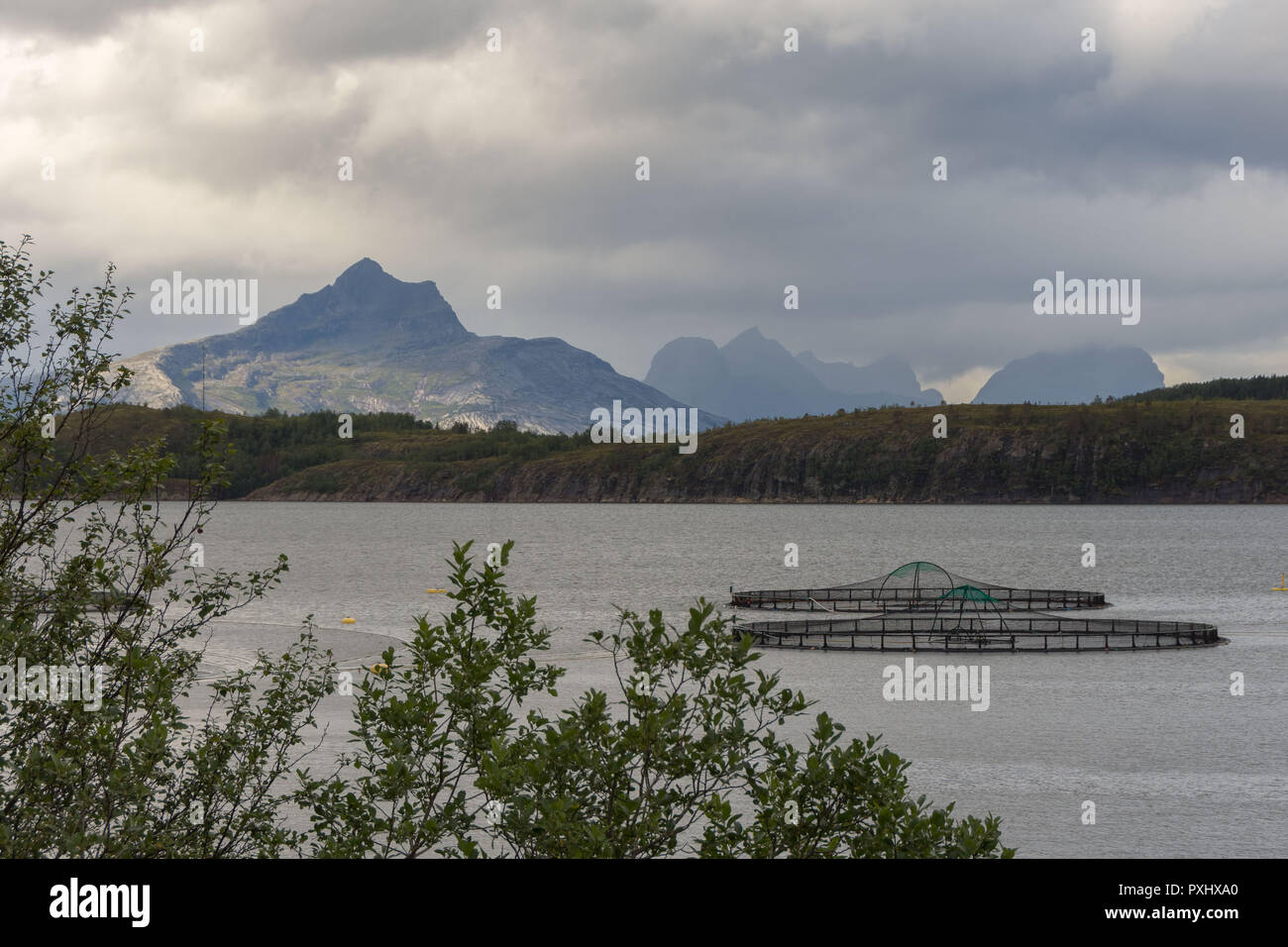 fish farming in the Norwegian fjords Stock Photo Alamy