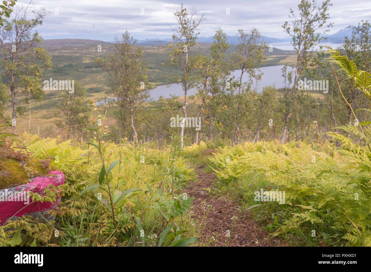 Trekking route in Senja island, Norway Stock Photo