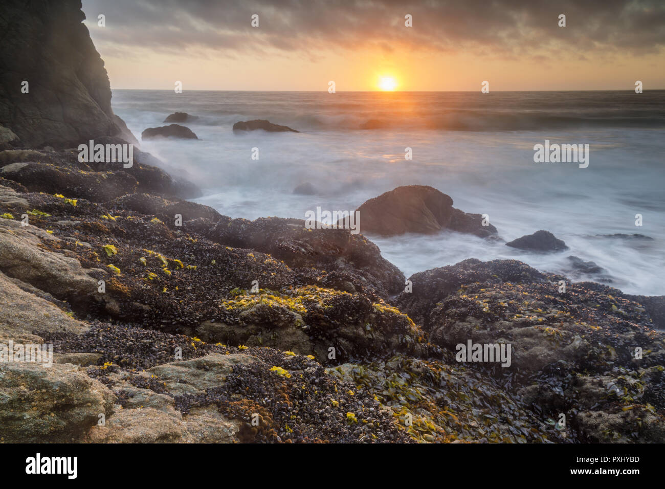 Whale cove hires stock photography and images Alamy