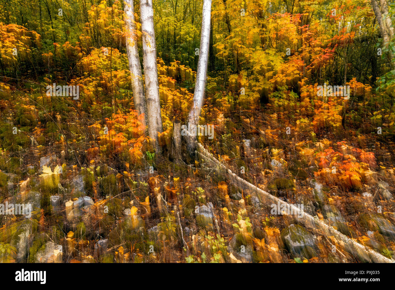 Lillooet gold rush hires stock photography and images Alamy