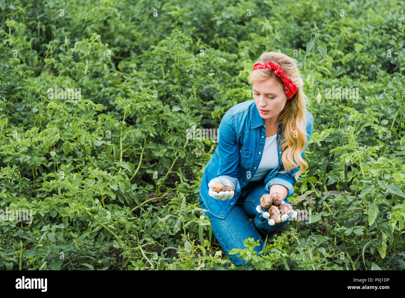 Farm Looking Attractive and ecological farming hi-res stock photography and images ...