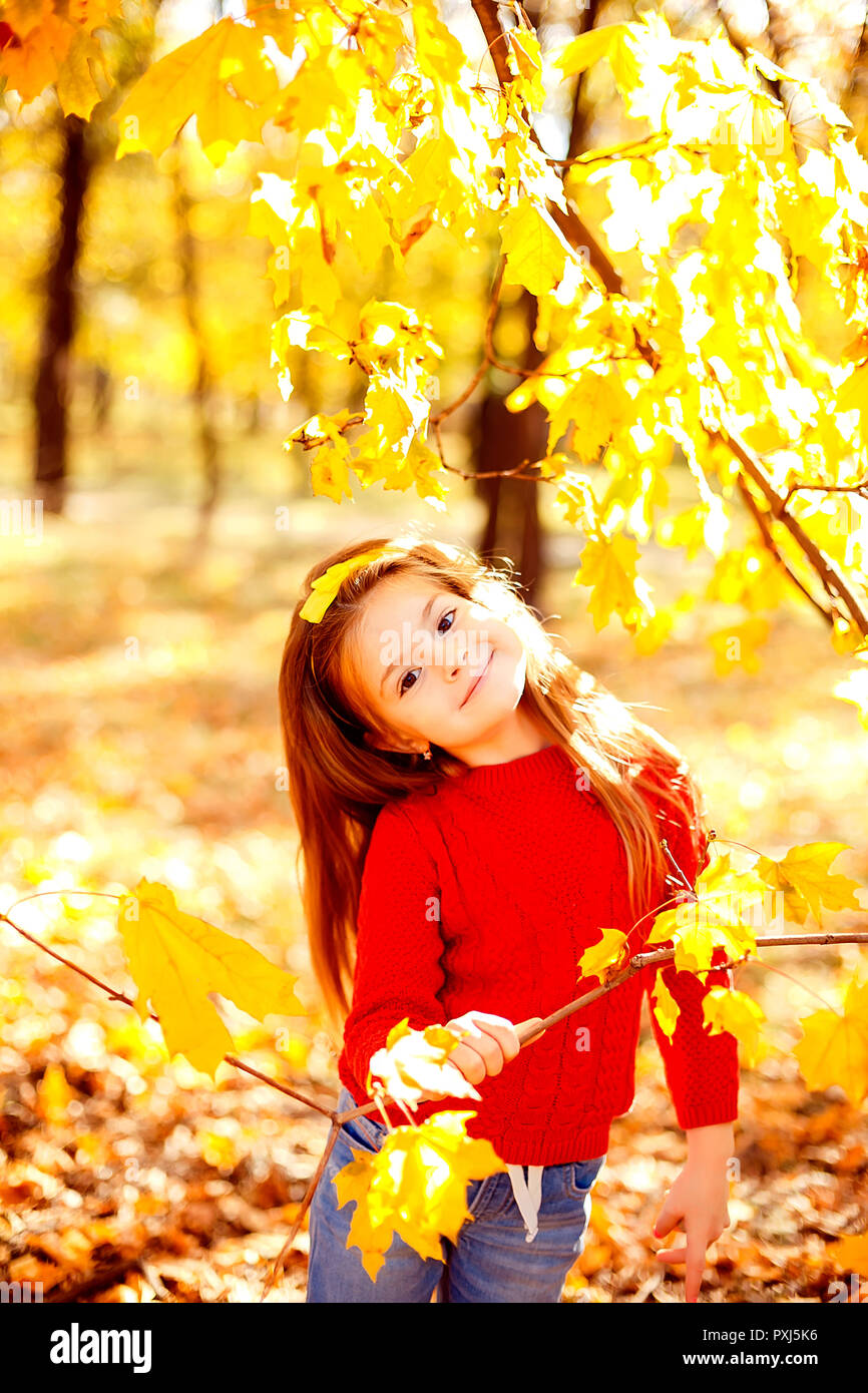 Adorable little girl playing with autumn leaves outdoors in the park ...