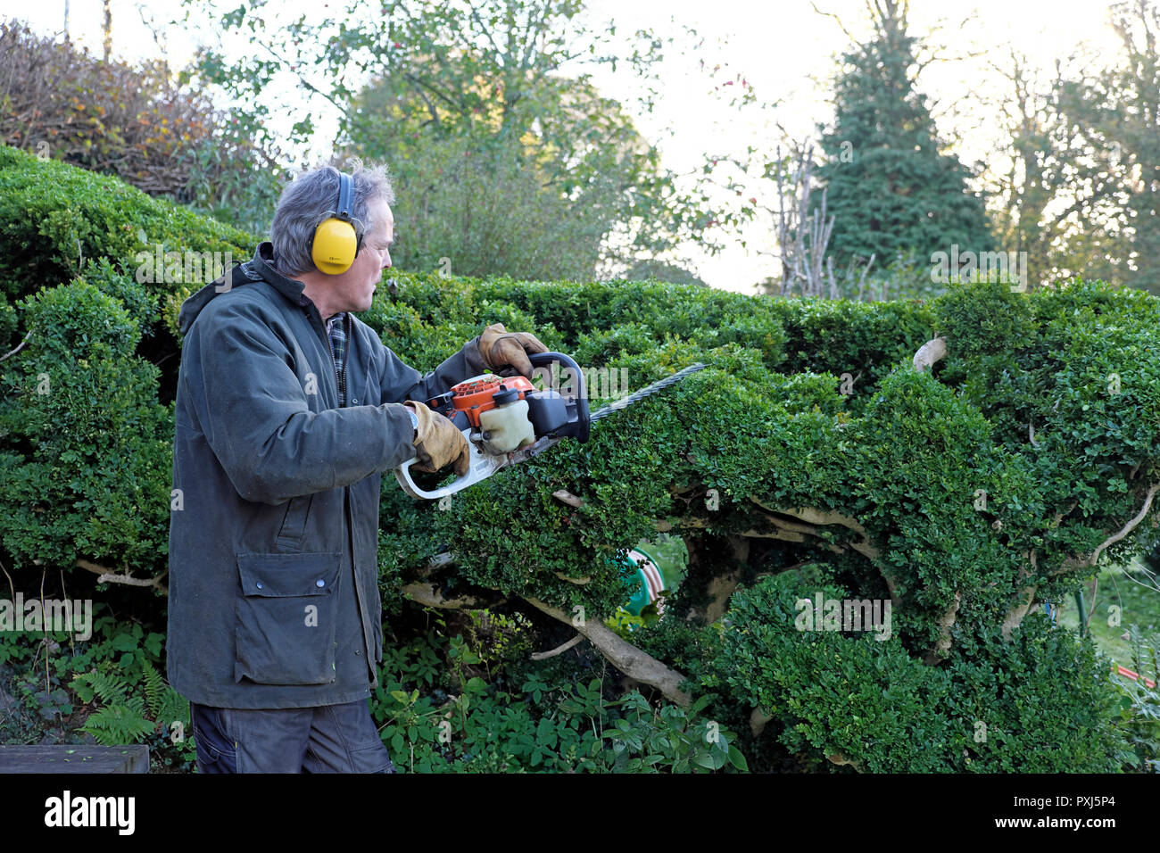 Hedge trimmer hires stock photography and images Alamy