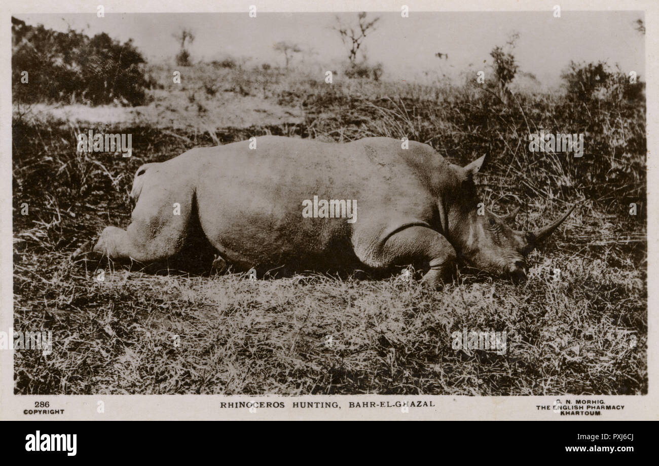 Rhinoceros Hunting, Bahr-el-Ghazal, South Sudan, Africa Stock Photo