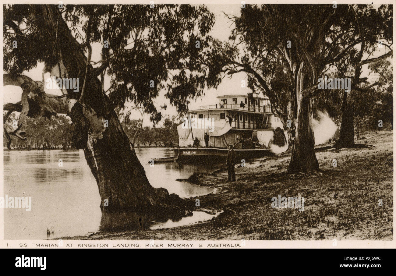 Australia SS Marian at Kingston Landing, River Murray Stock Photo Alamy