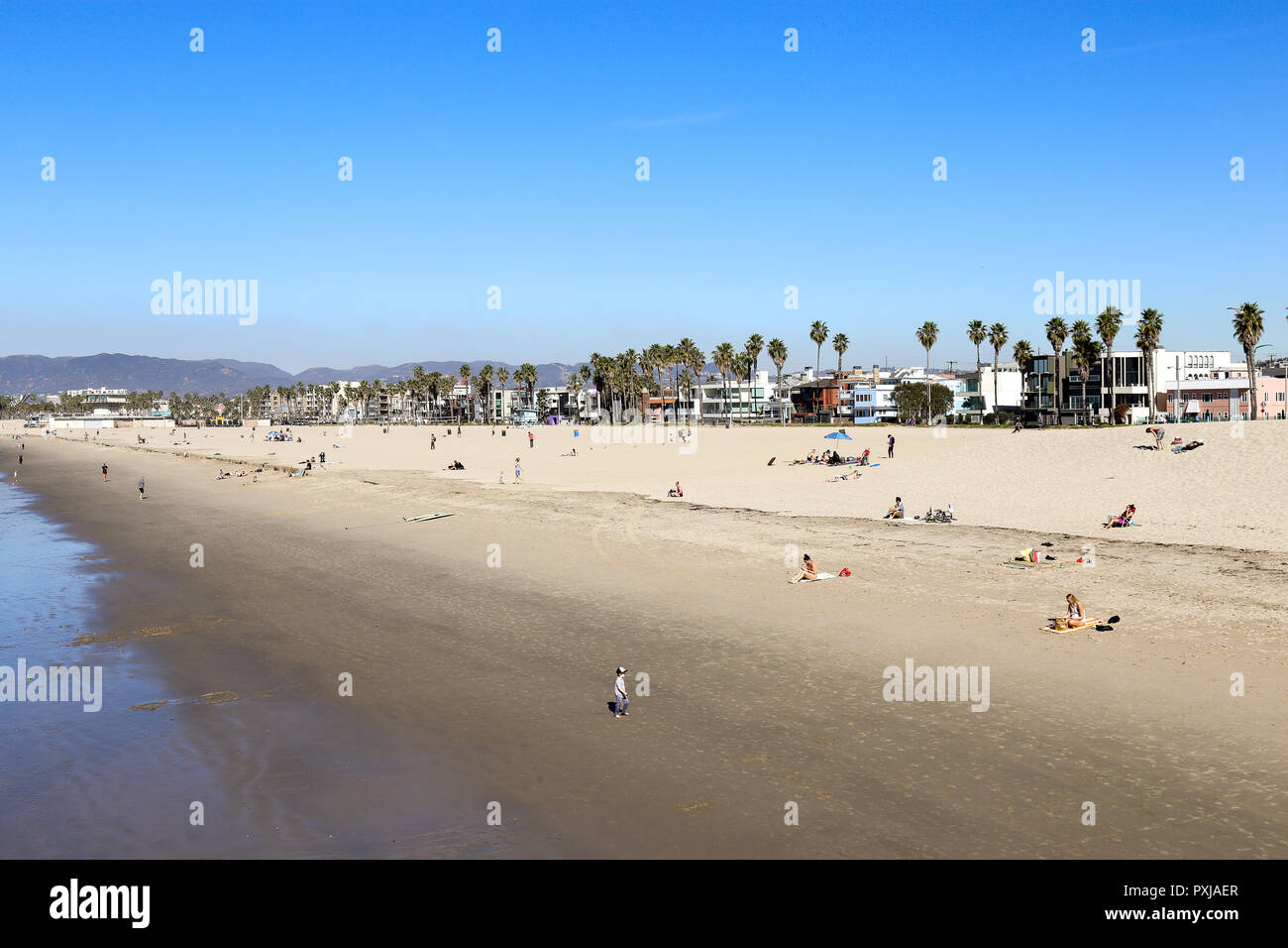 A typical southern California sunny day at Venice beach, California Stock Photo