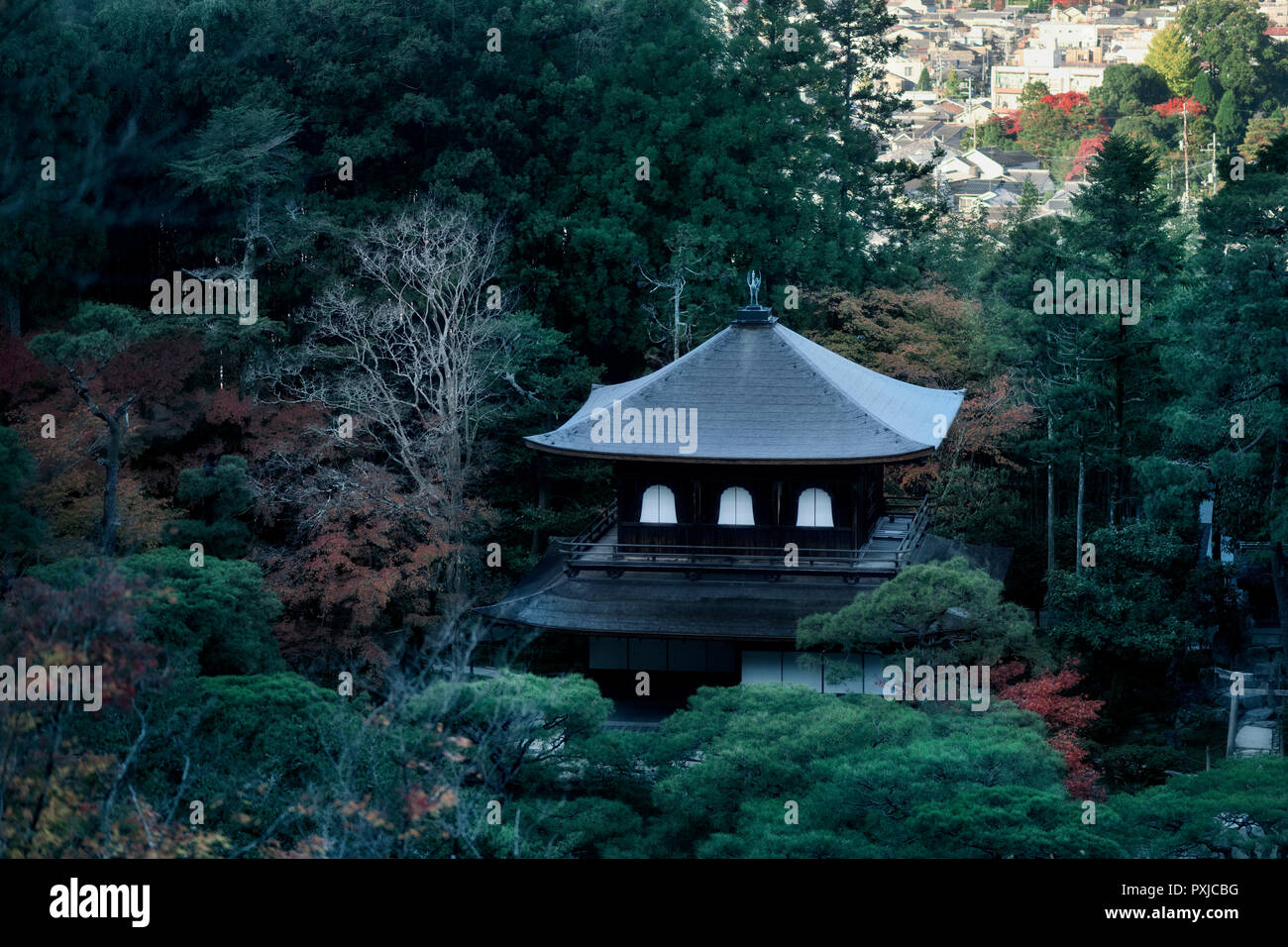 License available at MaximImages.com - Ginkaku-ji, Temple of the Silver Pavilion, Kannonden hall rooftop in an aerial autumn scenery of Jisho-ji templ Stock Photo