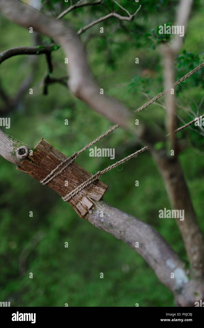 Tree support japan hires stock photography and images Alamy