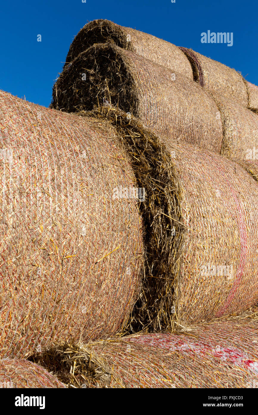 a large number of stacked straw stacks, a side view from the end of