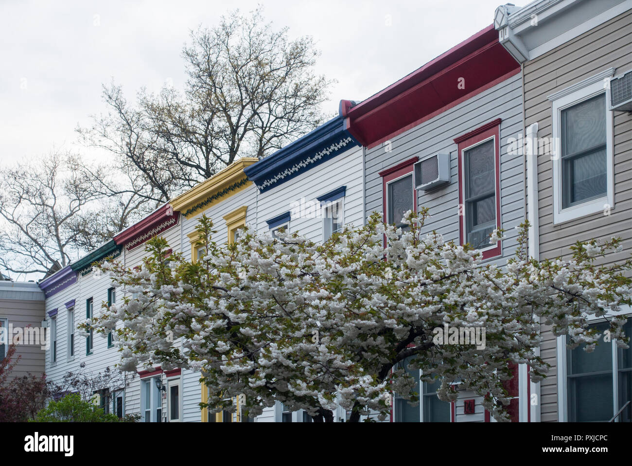 Windsor terrace hires stock photography and images Alamy