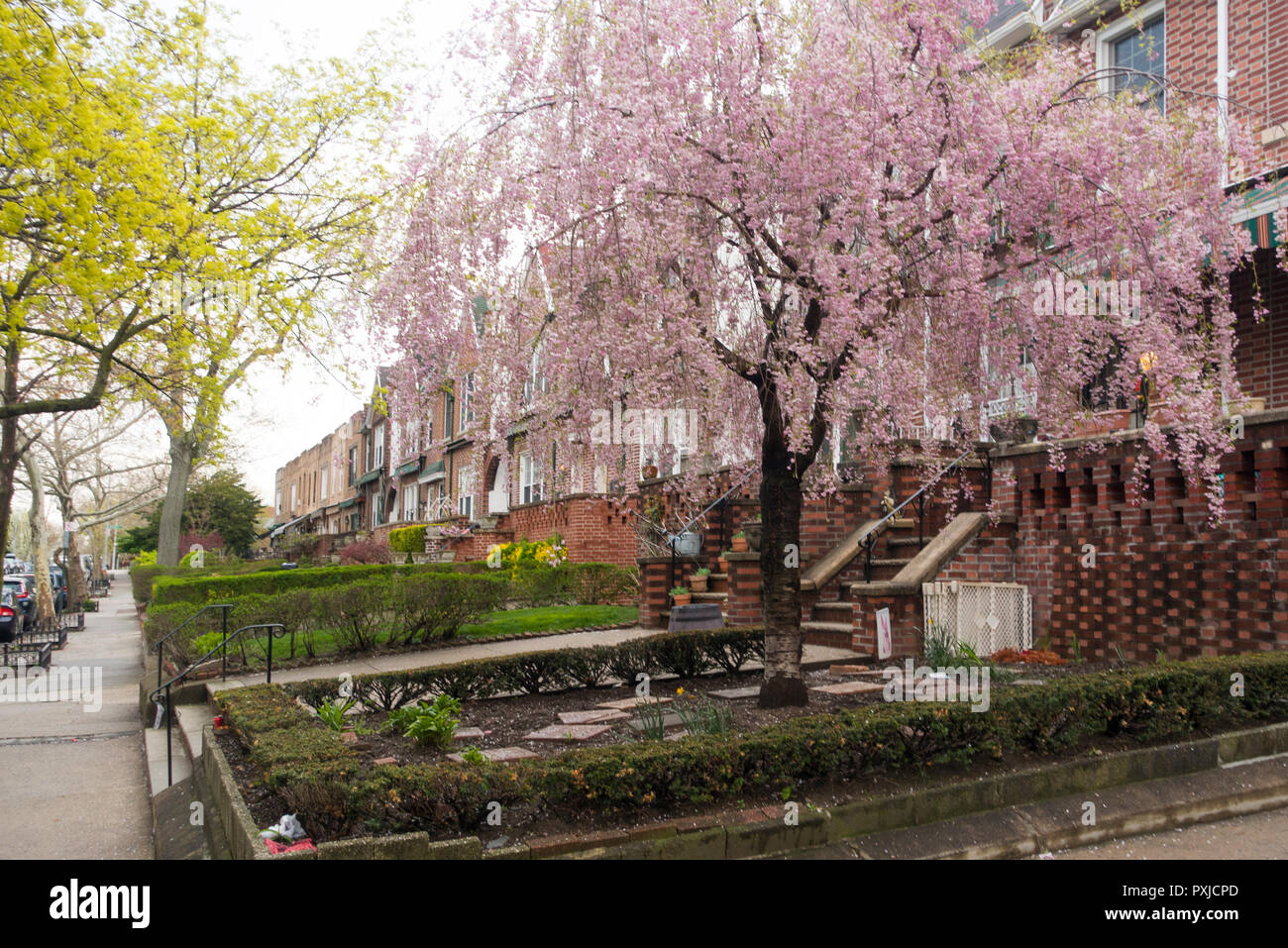 homes Windsor Terrace Brooklyn NYC Stock Photo Alamy