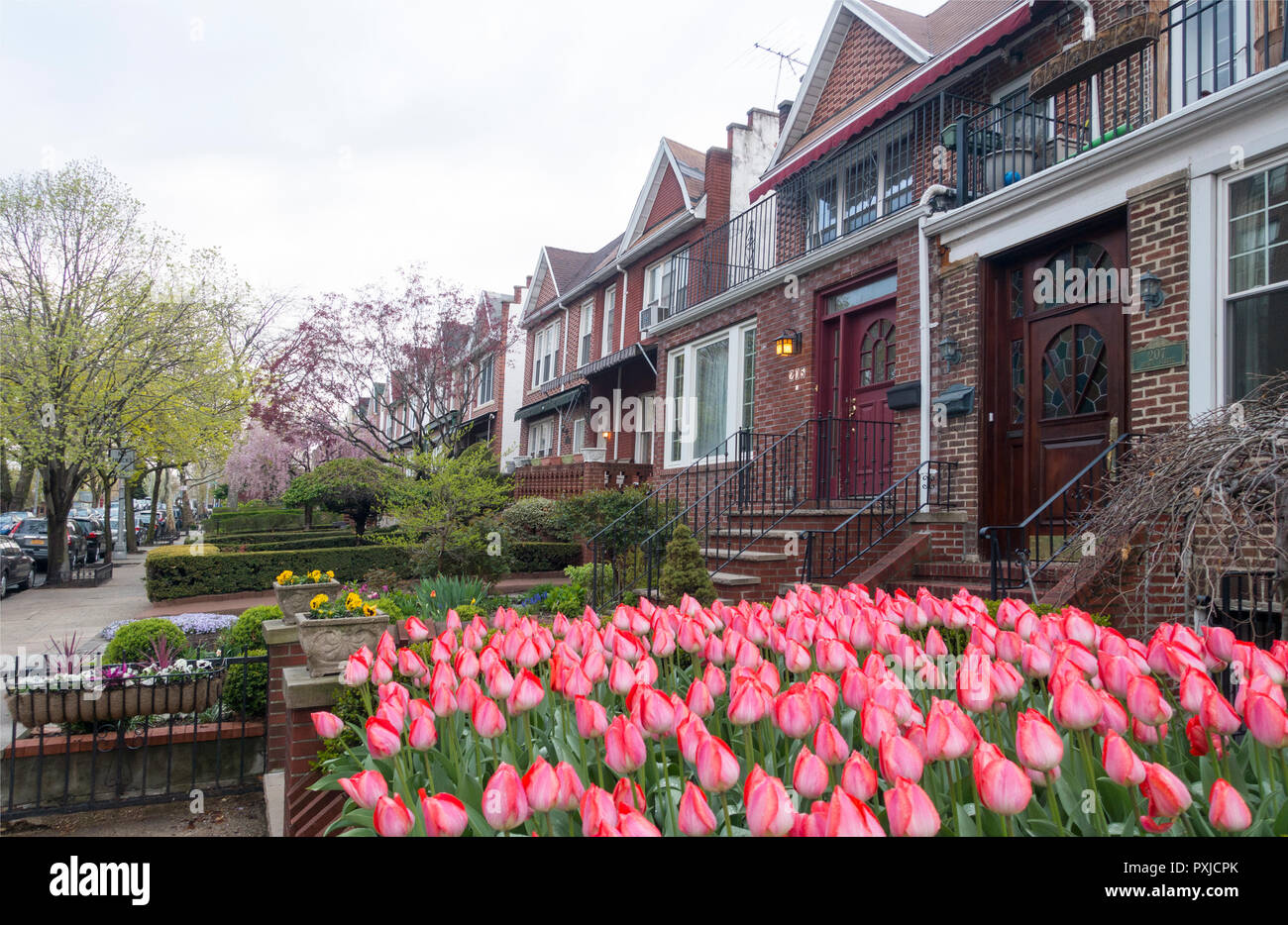 homes Windsor Terrace Brooklyn NYC Stock Photo Alamy
