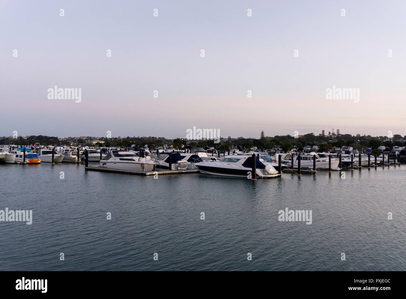 Tamaki new zealand hires stock photography and images Alamy