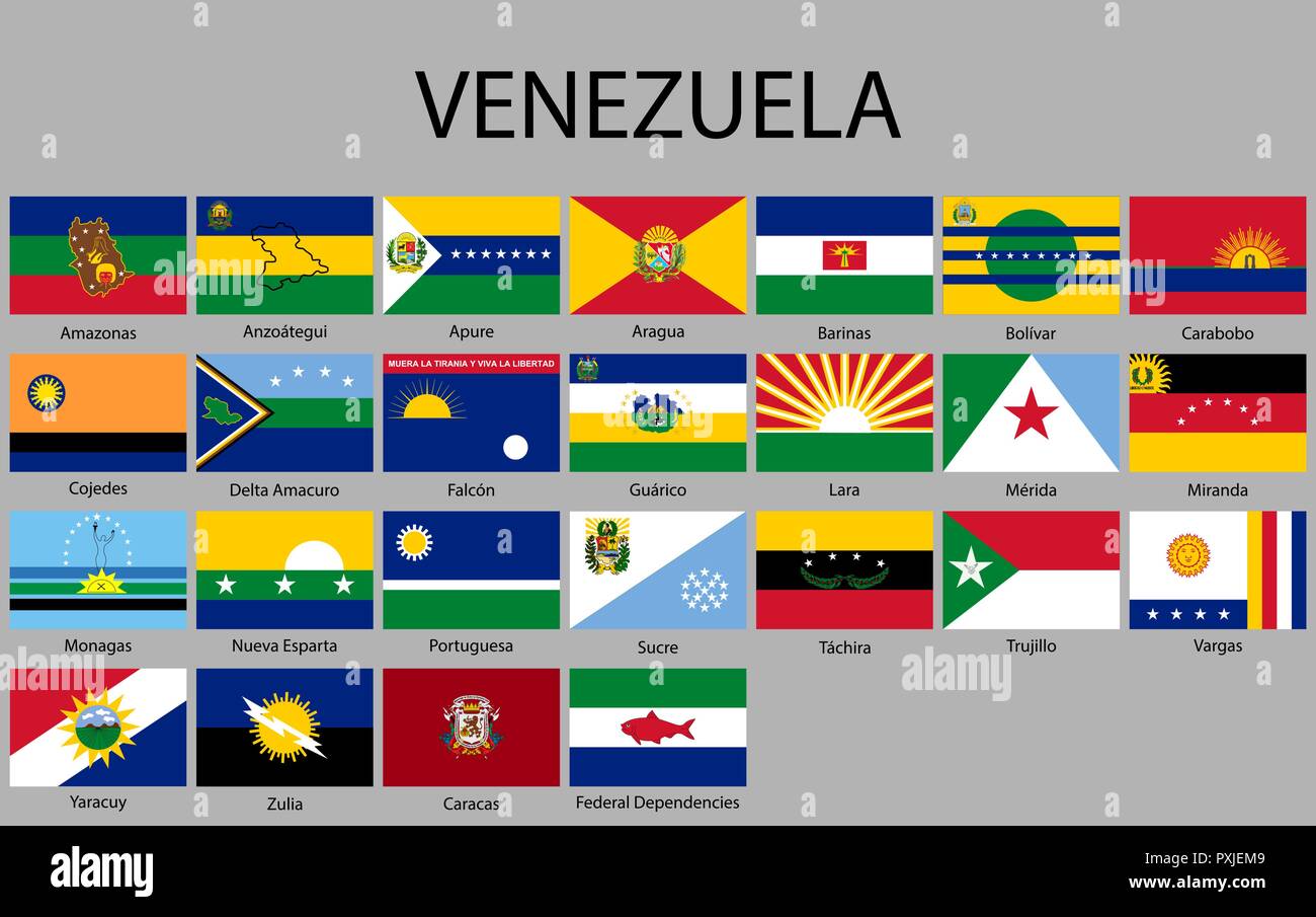 all Flags states of Venezuela. Vector illustraion Stock Vector