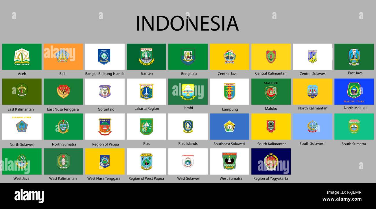 all Flags of regions of Indonesia. Vector illustraion Stock Vector ...