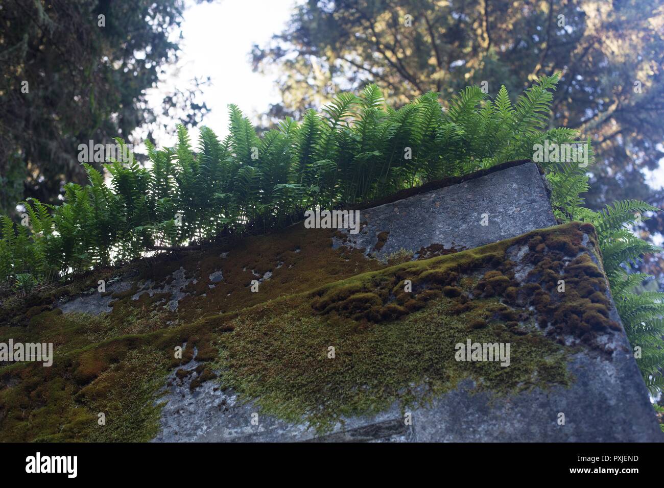 Old military bunker hires stock photography and images Alamy