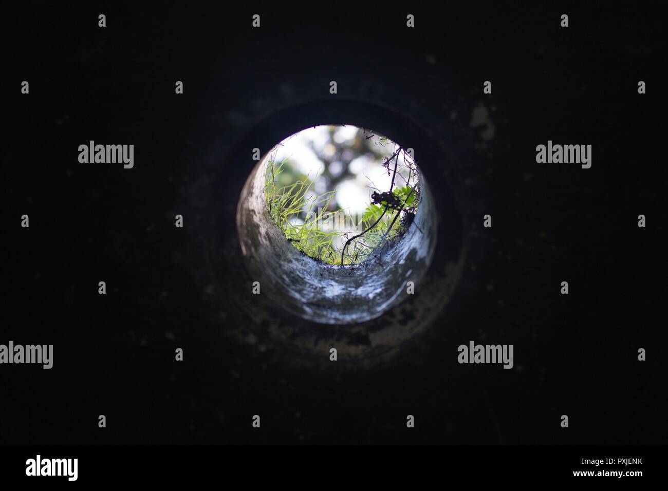 Looking up through a hole in a bunker at Cape Disappointment in Washington, USA. Stock Photo