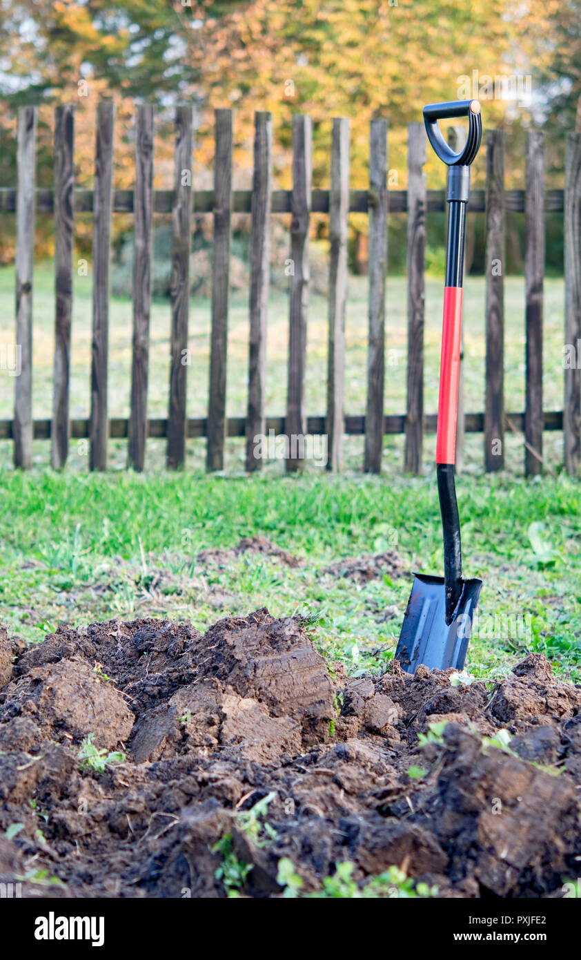 Shovel on soil backgound. Gardening. Stock Photo