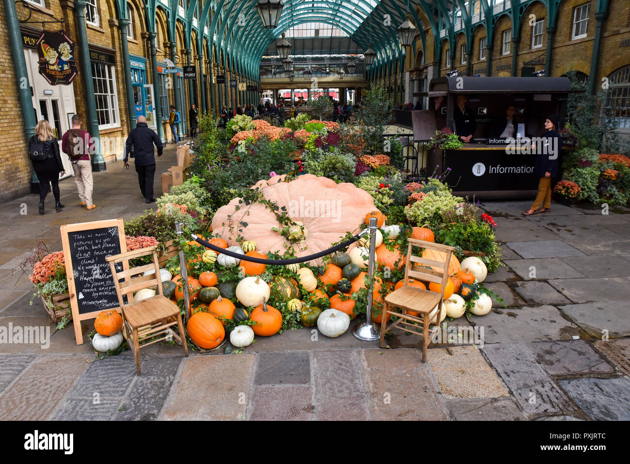 Covent Garden, London, UK. 23rd October 2018. Weighing one tonne, Europe's largest pumpkin is on Covent Garden, London, UK. 23rd October 2018. Weighing one tonne, Europe's largest pumpkin is on