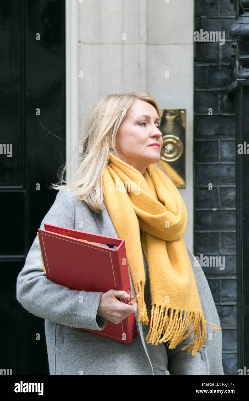 London UK 23rd October 2018. Esther McVey Secretary of State for Work and Pensions leaves  Downing Street after the  weekly cabinet ministers meeting Credit: amer ghazzal/Alamy Live News Stock Photo