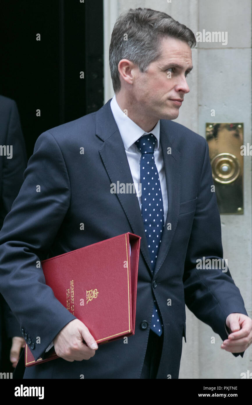 London UK. 23rd October 2018. Gavin Williamson Secretary of State for Defence  leaves  Downing Street after the  weekly cabinet ministers meeting Credit: amer ghazzal/Alamy Live News Stock Photo