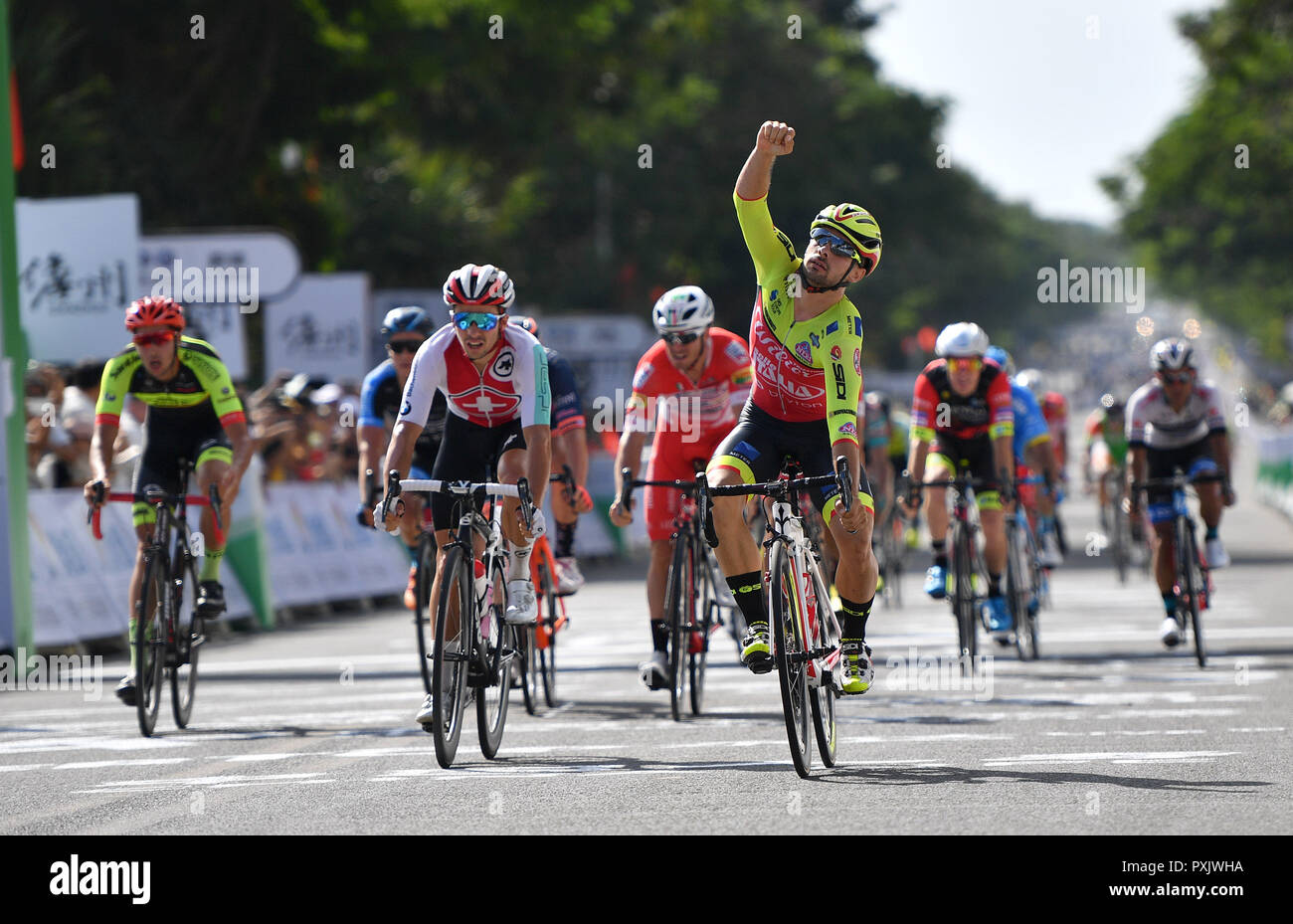 wilier cycling team