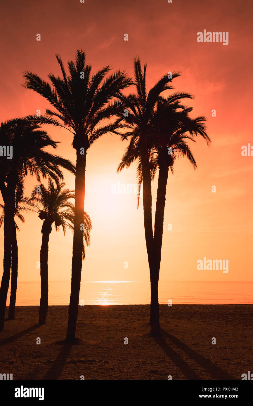 A beautiful sunrise over the sea with red burning sky and silhouette of palm trees in the foreground. Stock Photo