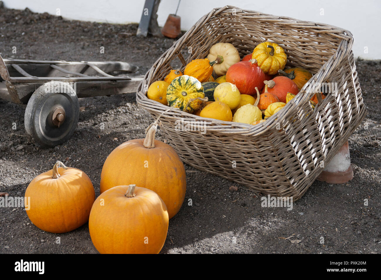 a rustic display of seasonal pumpkins and gourds Stock Photo - Alamy