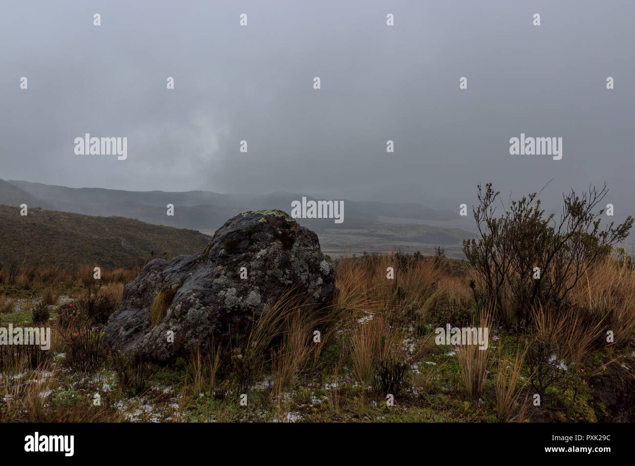 Cotopaxi vulcano ecuador hi-res stock photography and images - Alamy