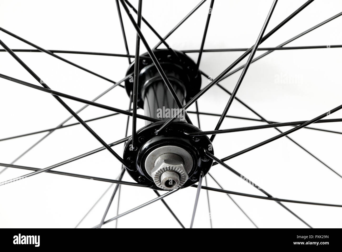bicycle wheel spokes