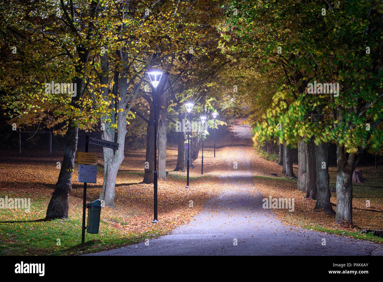 Autumn evening in a park near Montessori School in Vaxholm, Sweden Stock Photo