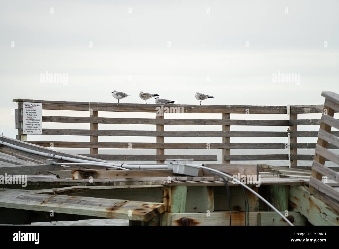 pier, hurricane,broken, pier, Hurricane Harvey Stock Photo Alamy