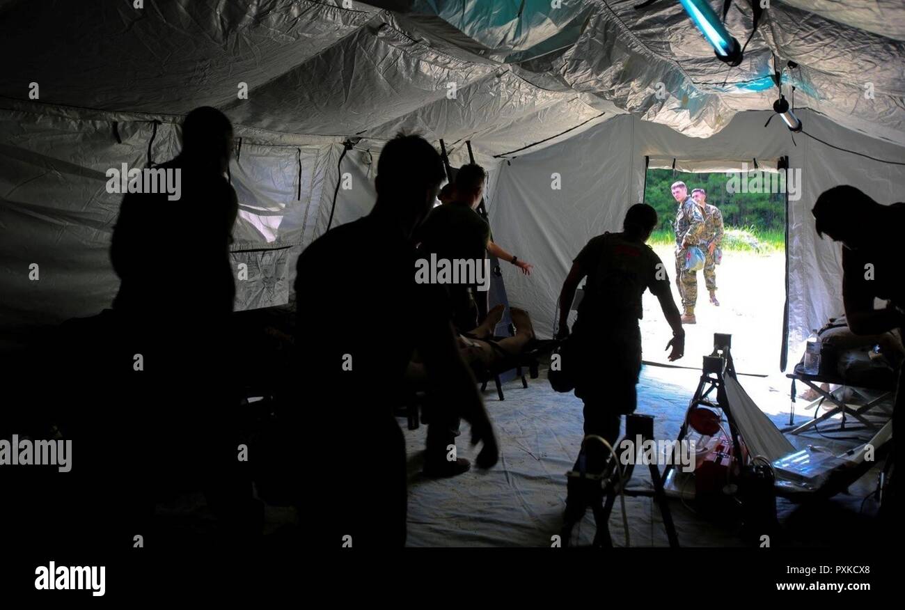 Corpsmen move a simulated casualty to a transport vehicle during a training exercise at Camp Johnson on Marine Corps Base Camp Lejeune, N.C., June 6, 2017. During the training evolutions, corpsmen are trained in the next level of medical care after immediate evacuation, allowing them to familiarize themselves with factors they may face throughout their careers. The corpsmen who participated in the training are with Field Medical Training Battalion- East. Stock Photo