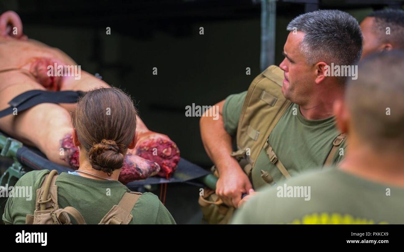 Corpsmen unload a simulated casualty from a transport vehicle during a training exercise at Camp Johnson on Marine Corps Base Camp Lejeune, N.C., June 6, 2017. During the training evolutions, corpsmen are trained in the next level of medical care after immediate evacuation, allowing them to familiarize themselves with factors they may face throughout their careers. The corpsmen who participated in the training are with Field Medical Training Battalion- East. Stock Photo